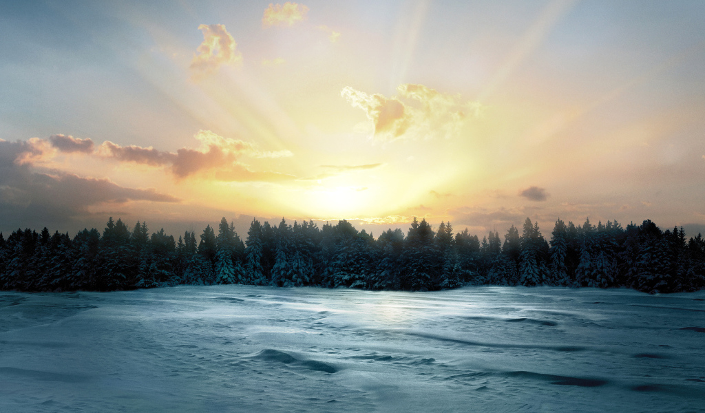 Восход солнца над заснеженным лесом