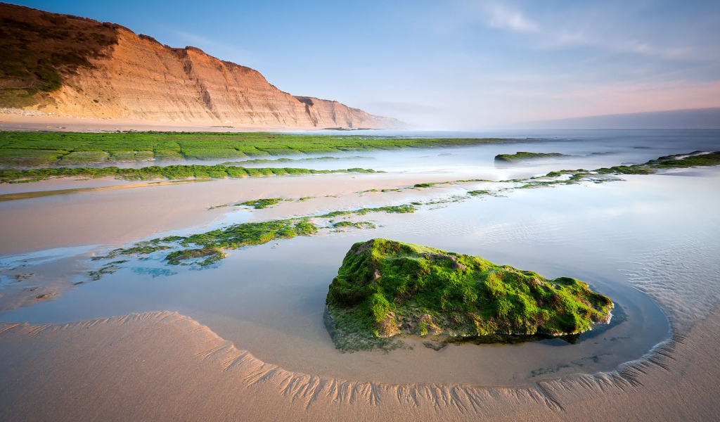 Камни на песчаном пляже покрыты зеленым мхом