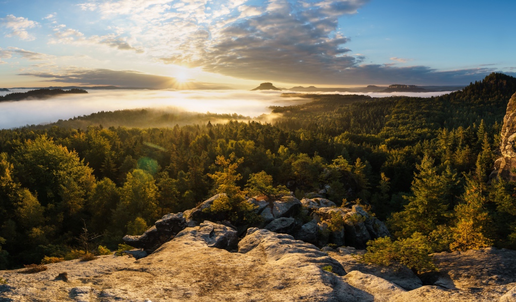 Вид со скалы на покрытый туманом лес и озеро на восходе солнца