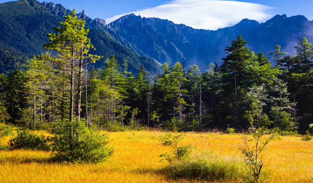 Вид на горы и лес под голубым небом, Япония