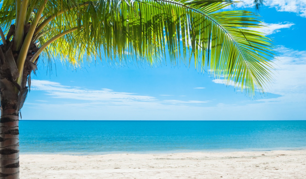 Красивый тропический пляж под голубым небом 