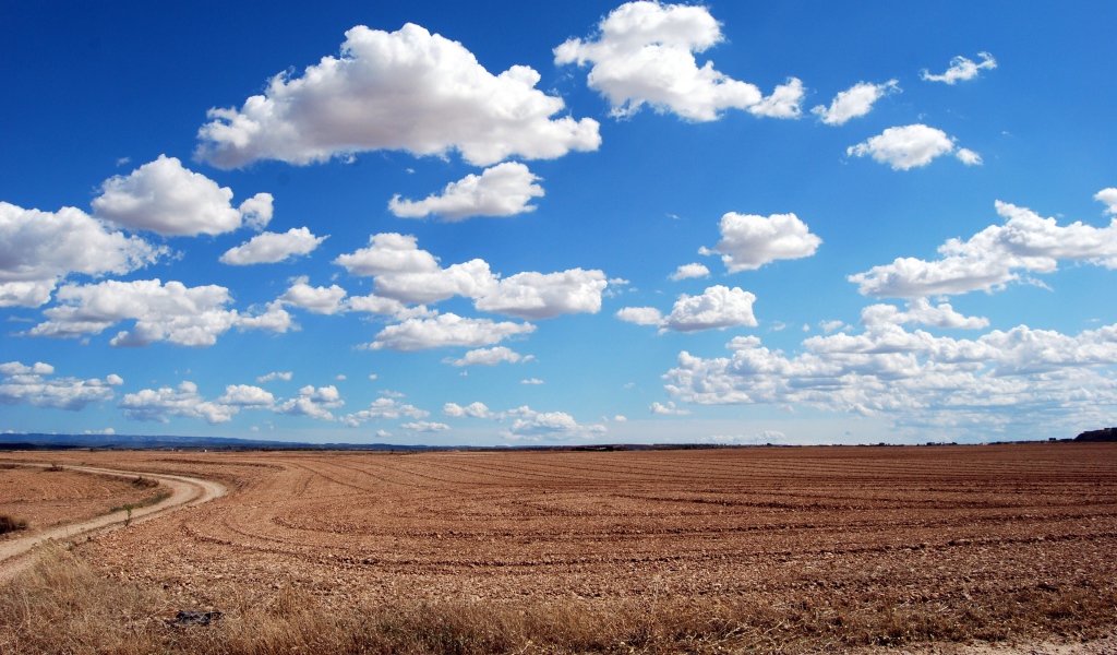 Белые пушистые облака в голубом небе над полем осенью 
