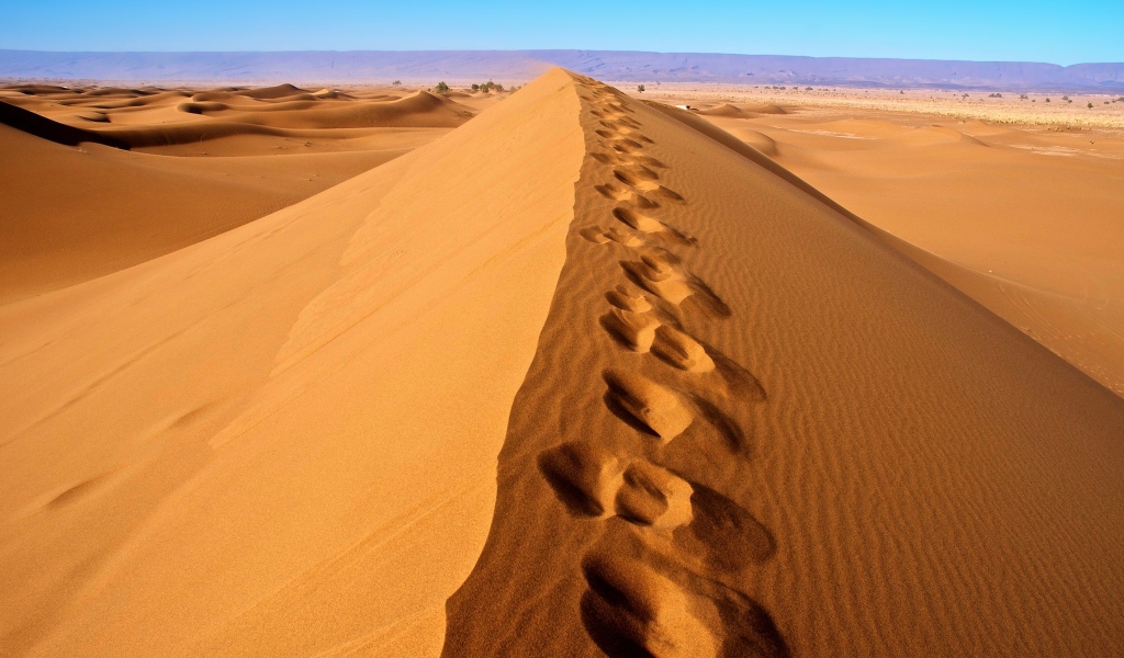 Следы на горячем песке в пустыне Сахара