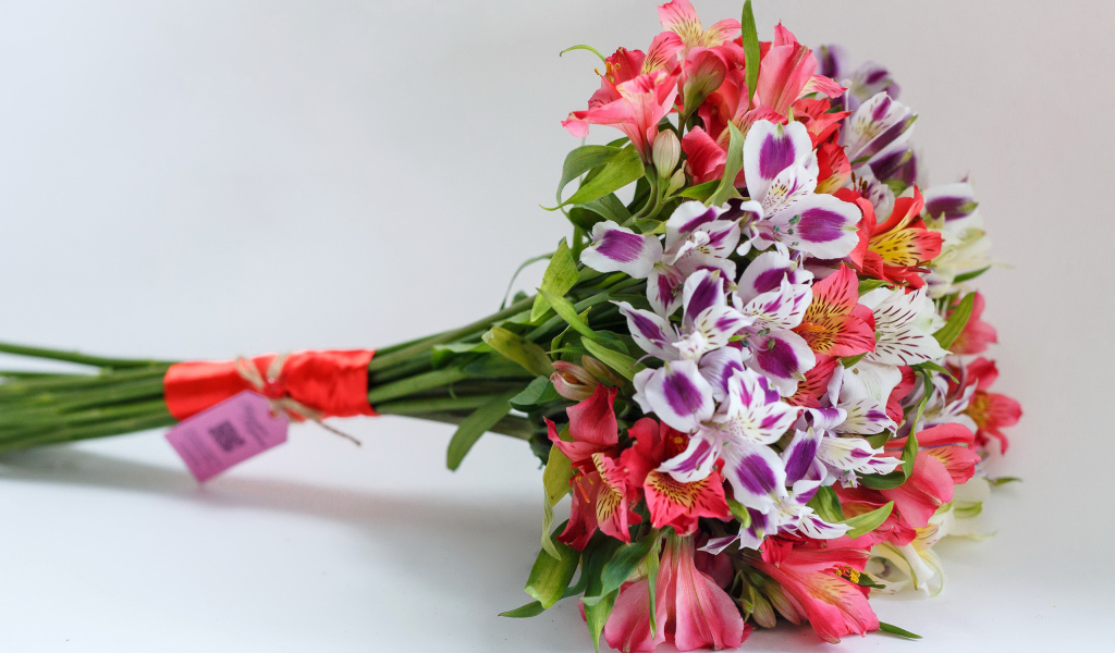 Букет цветов альстромерия на сером фоне 