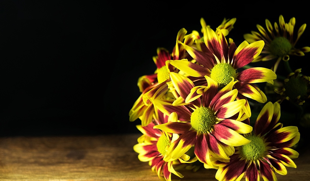 Букет газании на деревянном столе