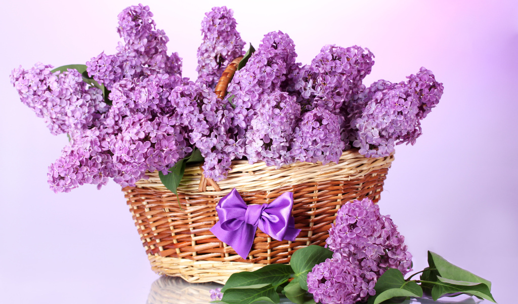 Букет сирени в корзине с бантиком
