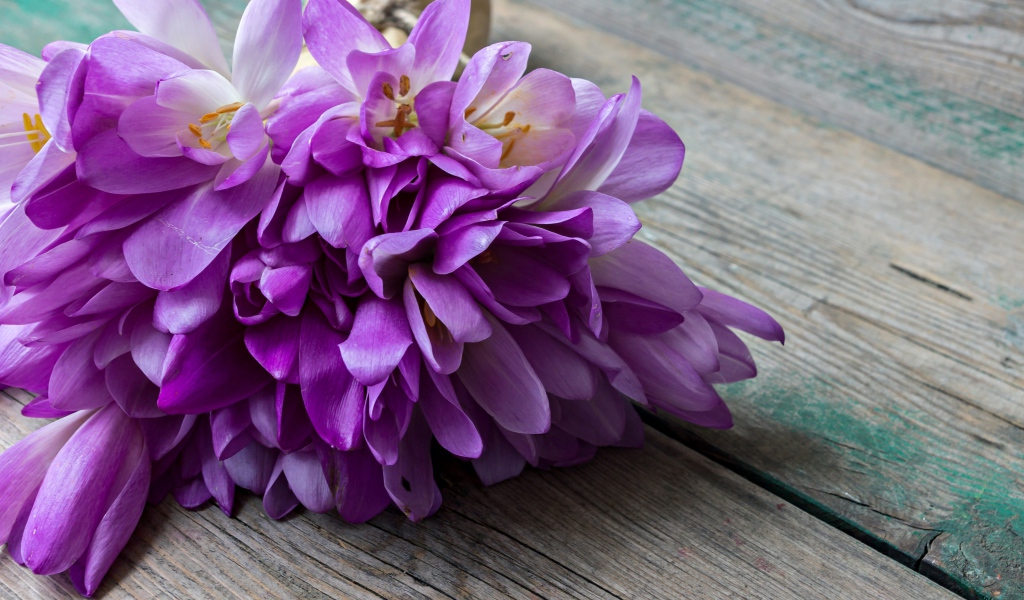 Букет весенних цветов фиолетовых крокусов лежит на деревянном столе