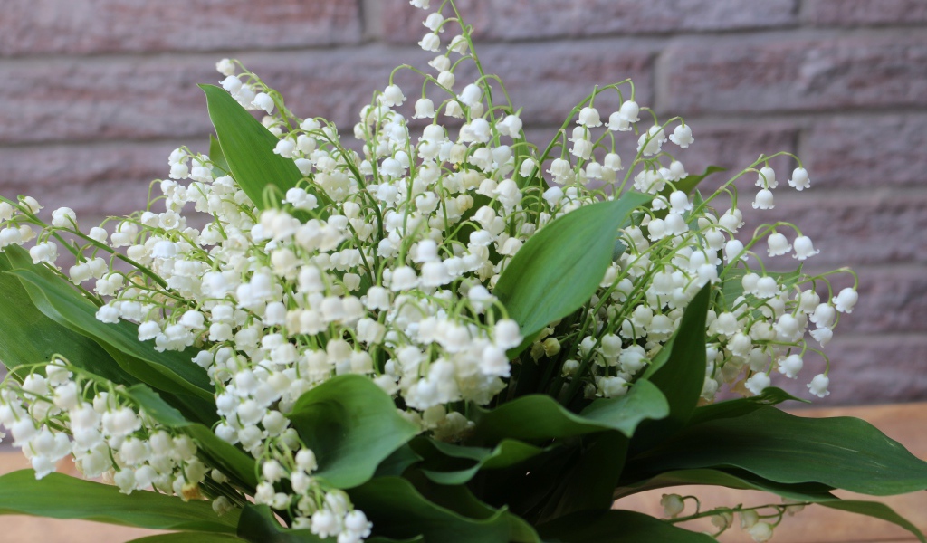 Букет белых ландышей с зелеными листьями