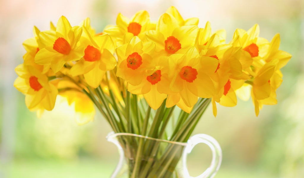 Букет желтых нарциссов в стеклянной вазе