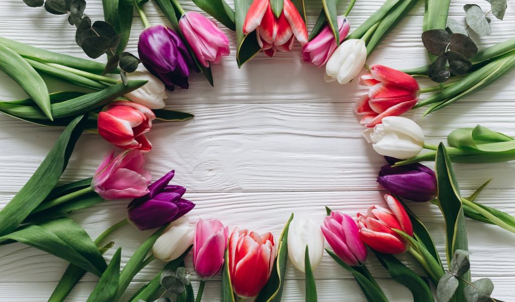 Круг из разноцветных тюльпанов на столе 