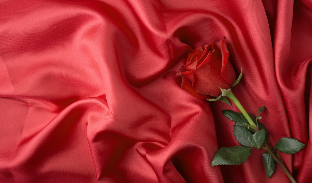 Красная роза лежит на красном шелковом покрывале
