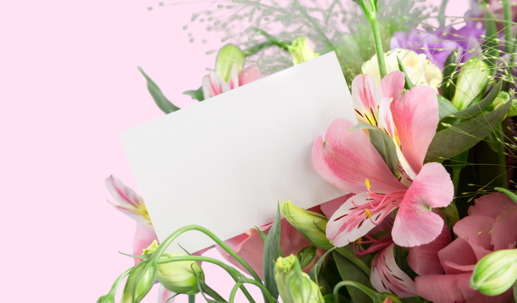 Альстрёмерия с белым листом бумаги, шаблон для открытки