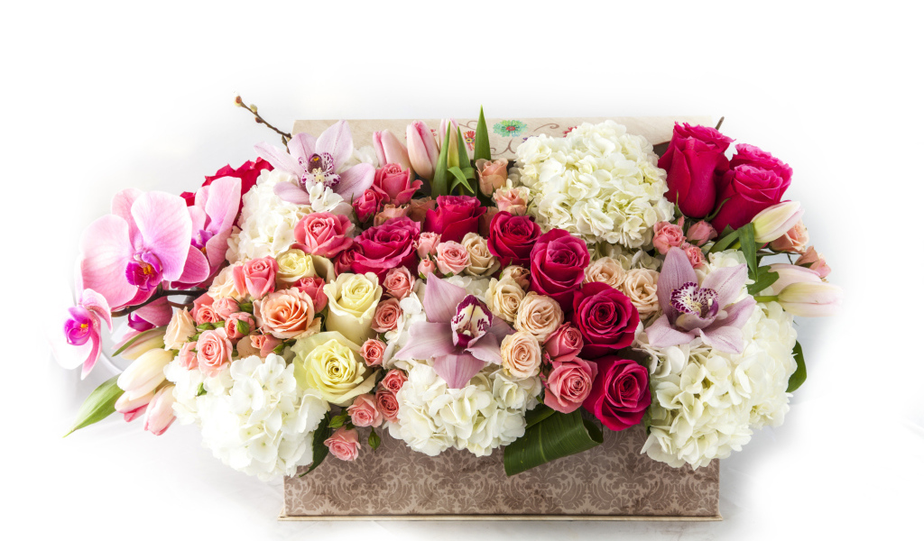 Корзина с цветами орхидеи, гортензии и розы и тюльпана на белом фоне