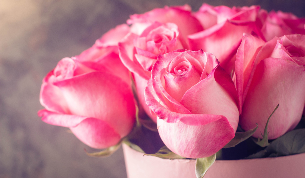 Красивый букет нежных розовых роз крупным планом