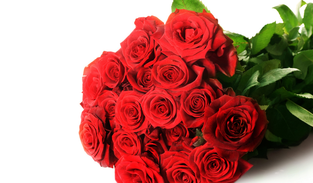 Красивый букет красных роз на белом фоне