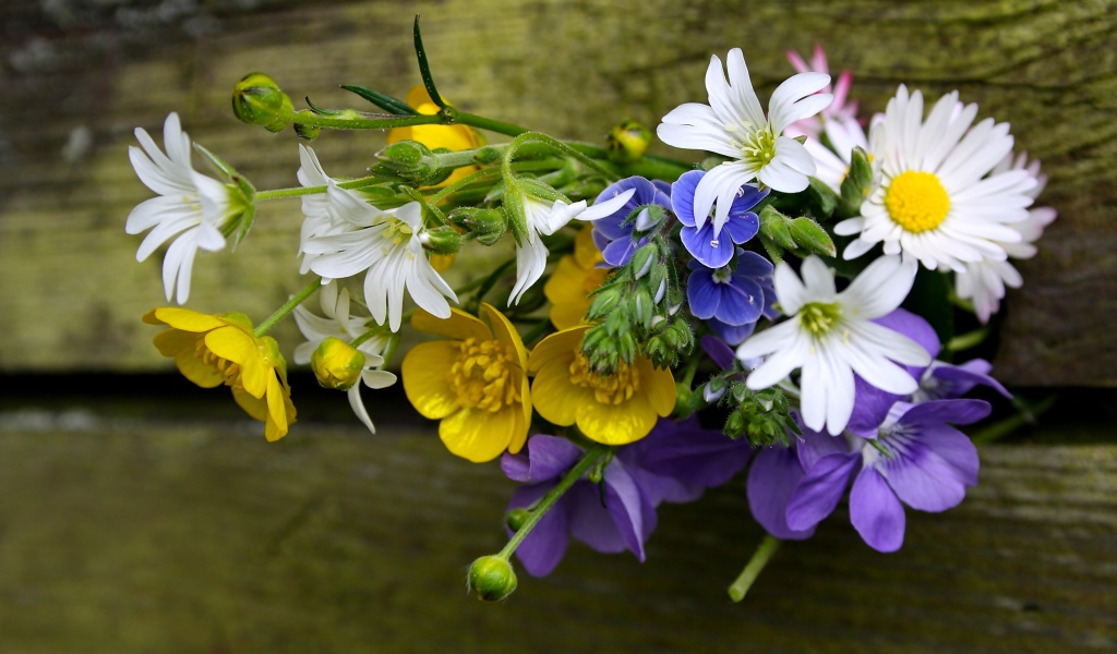 Красивый букет полевых цветов