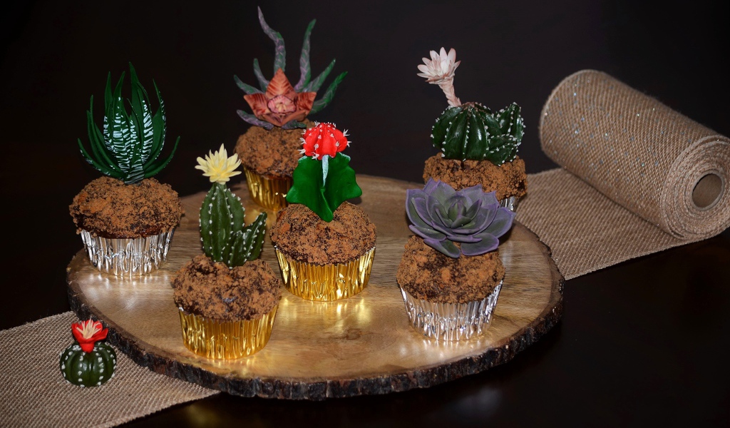 Красивые цветущие комнатные кактусы