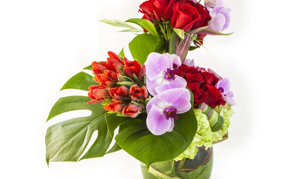 Красивые цветы в стеклянной вазе на белом фоне