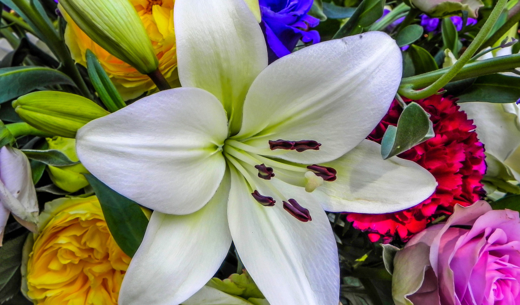 Красивая крупная белая лилия в букете крупным планом 