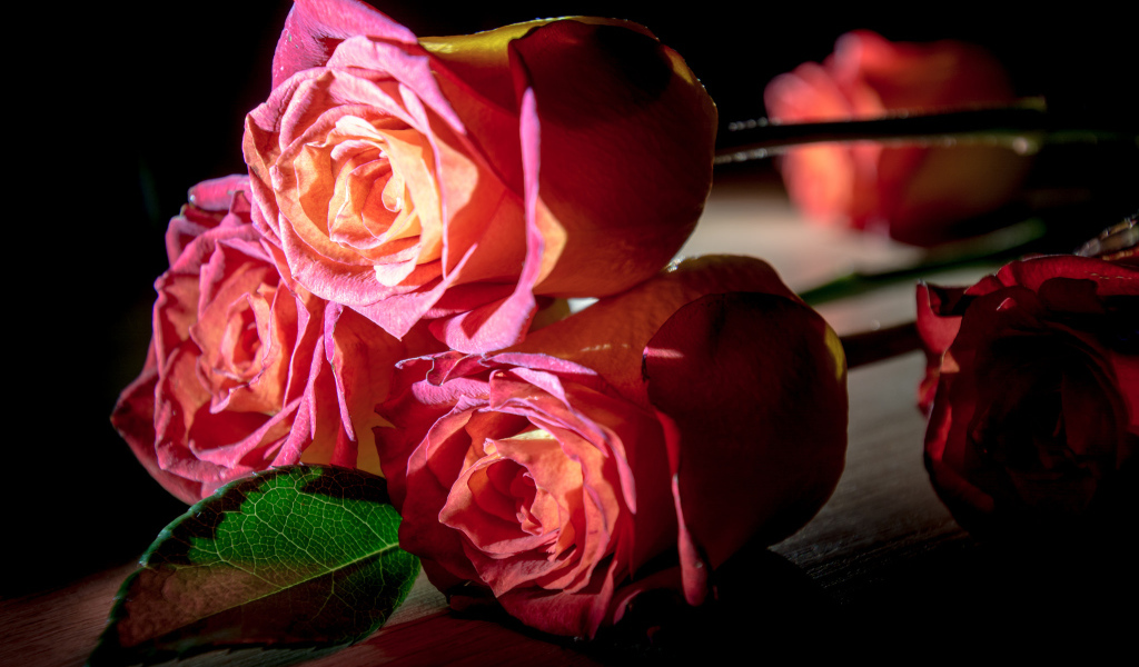 Красивые розовые розы на деревянном столе