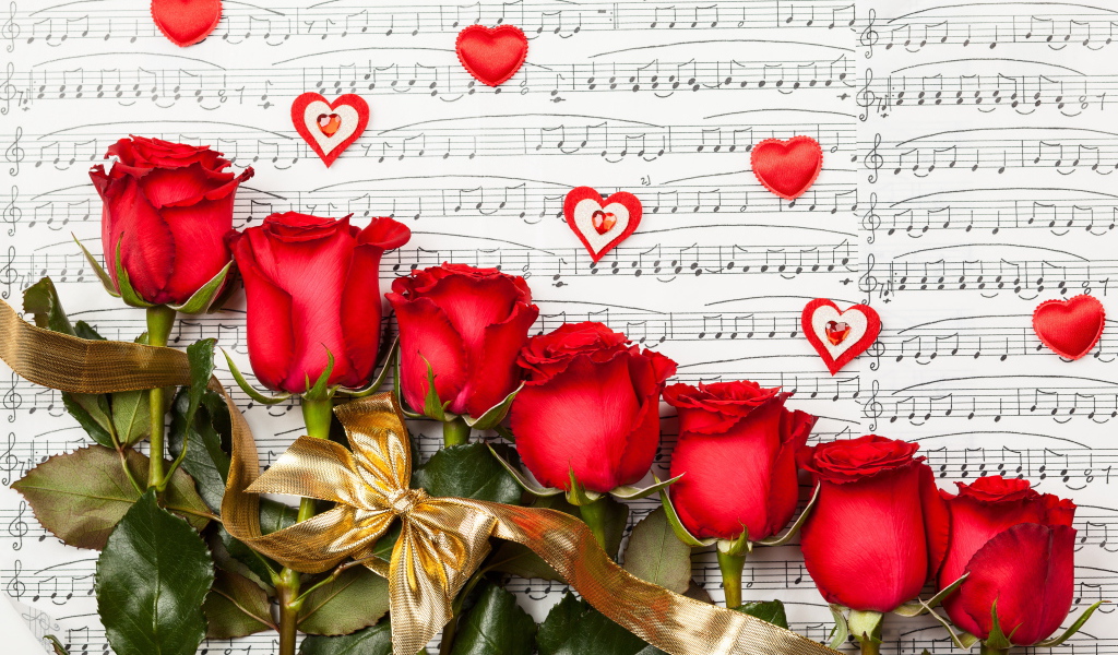 Красивые красные английские розы лежат на нотной тетради