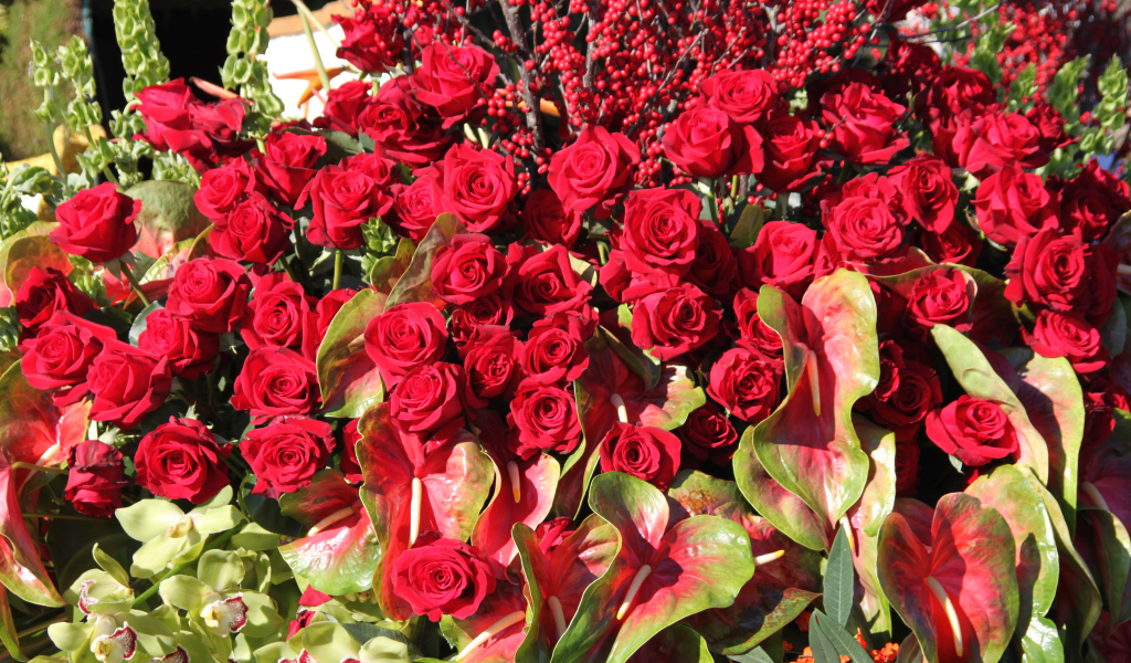 Красивые красные розы с цветами антуриум