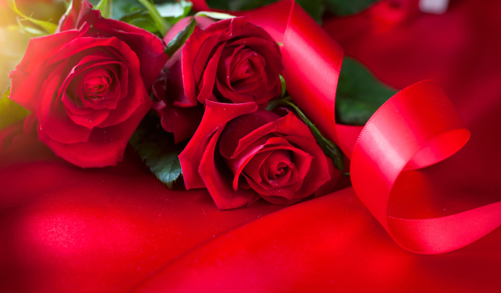 Красивые красные розы с атласной лентой на красном фоне
