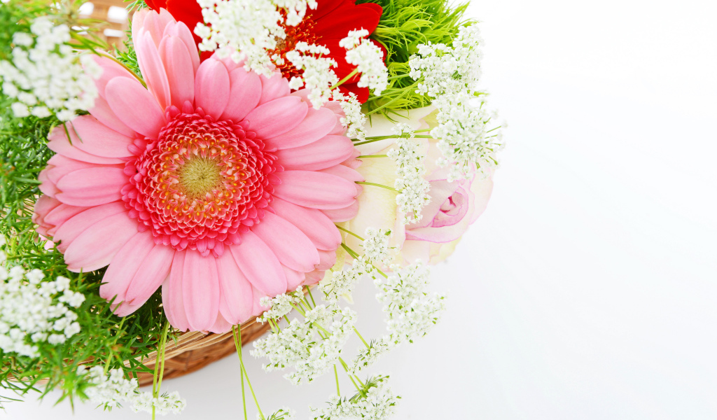 Красивый нежный букет с цветами герберы на белом фоне
