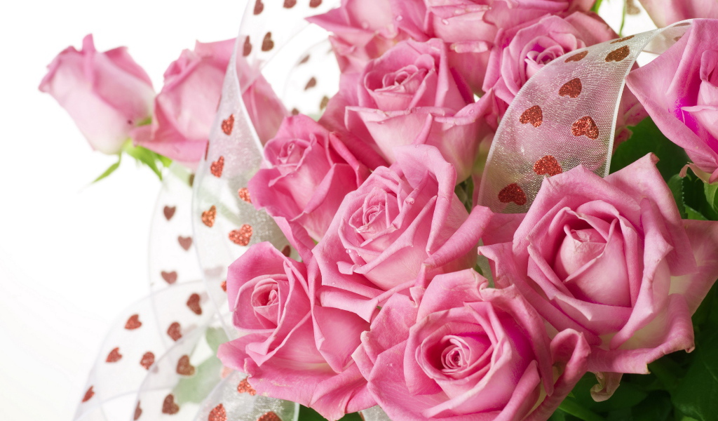 Большой красивый букет розовых роз с атласной лентой на белом фоне