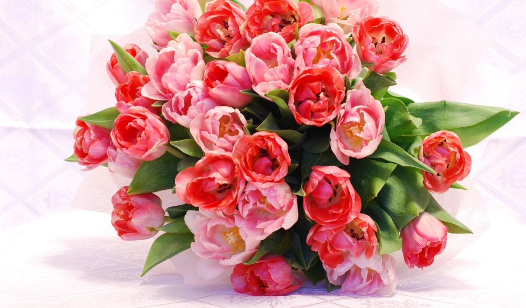 Большой красивый букет розовых тюльпанов крупным планом