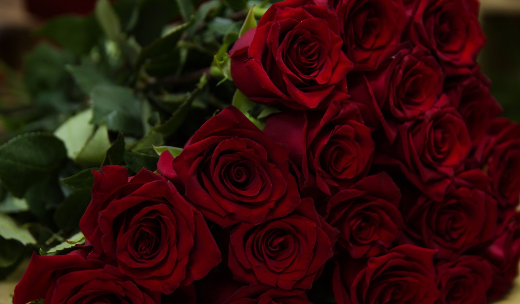 Большой букет красивых красных английский роз