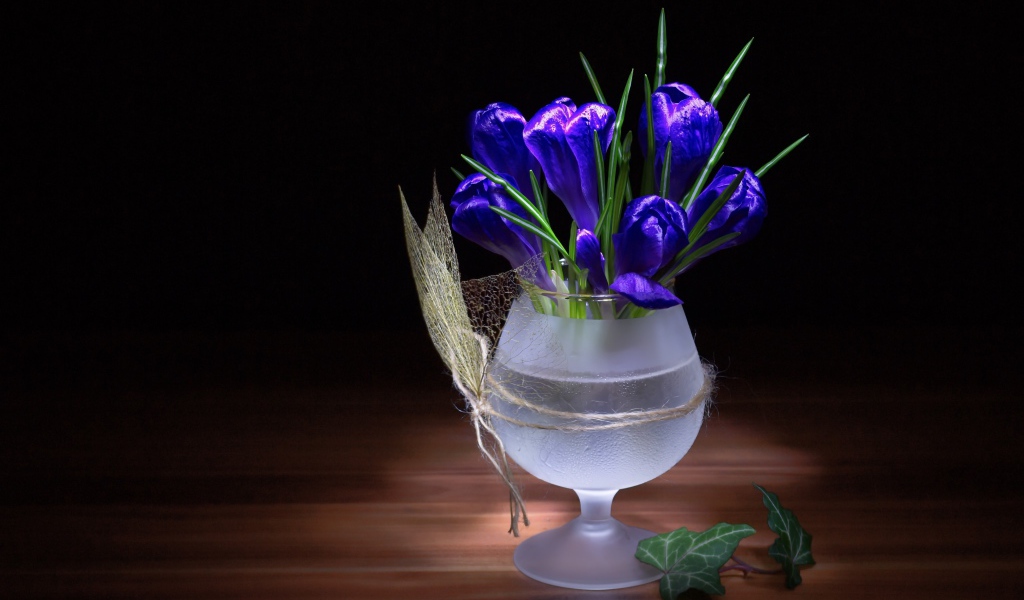 Синие крокусы в стеклянном бокале на черном фоне