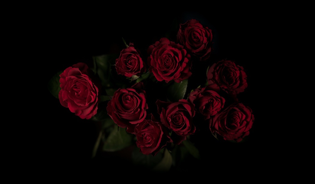 Букет красивых бордовых роз на черном фоне