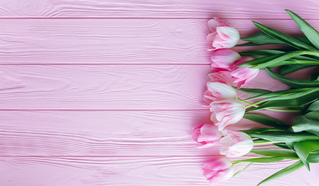 Букет розовых нежных тюльпанов на розовой поверхности 