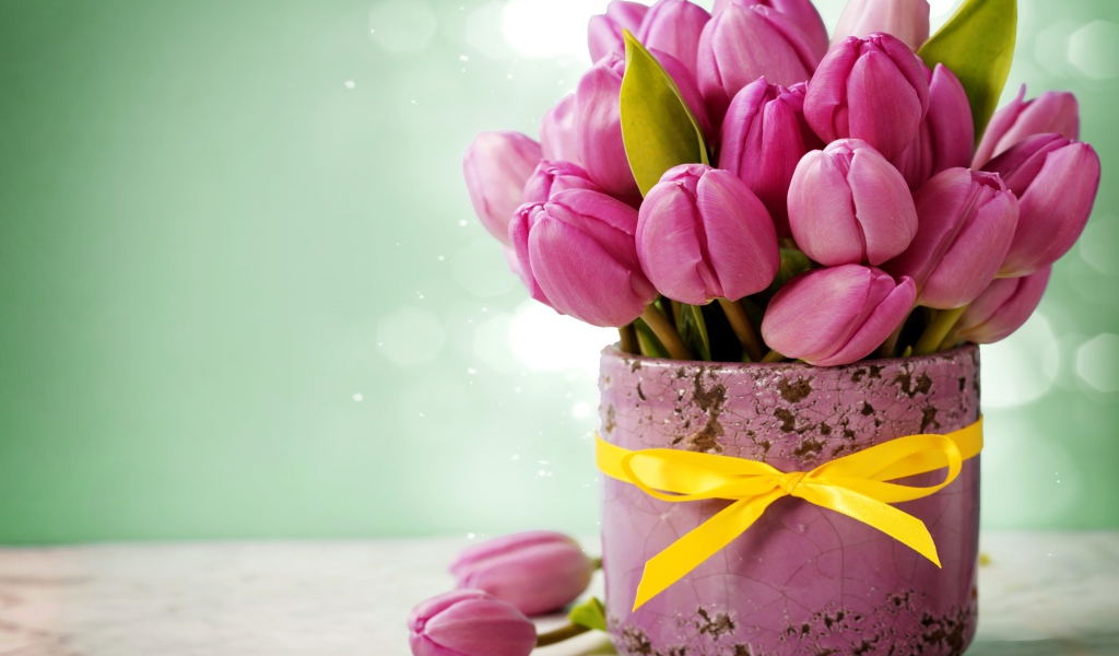 Букет розовых тюльпанов в горшке с желтым бантом