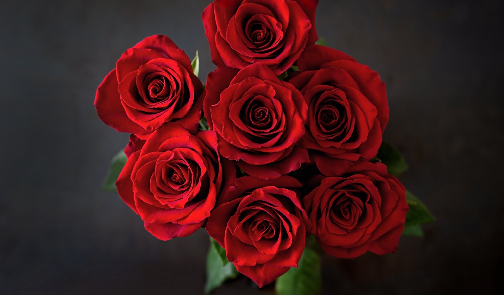 Букет красных роз на сером фоне вид сверху