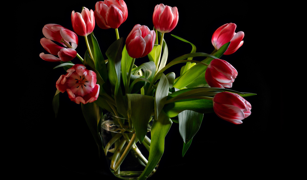 Букет красных тюльпанов в стеклянной вазе на черном фоне