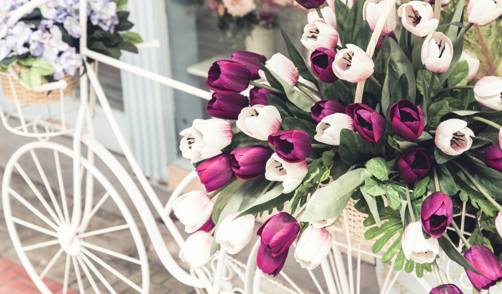 Букет тюльпанов в корзине на белом велосипеде