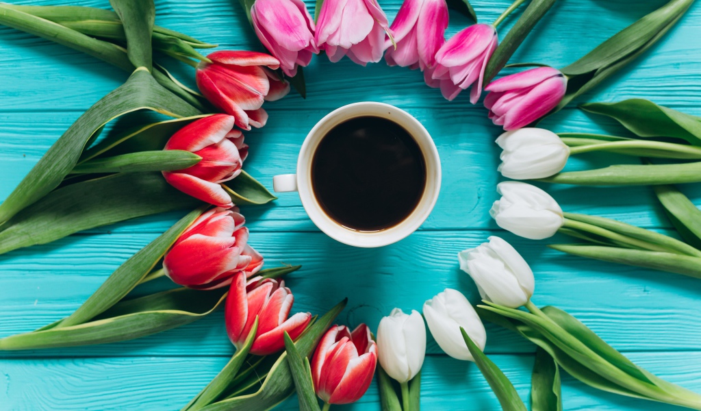 Букет тюльпанов с чашкой кофе на голубом фоне