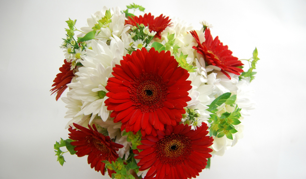 Букет белых хризантем с красными герберами