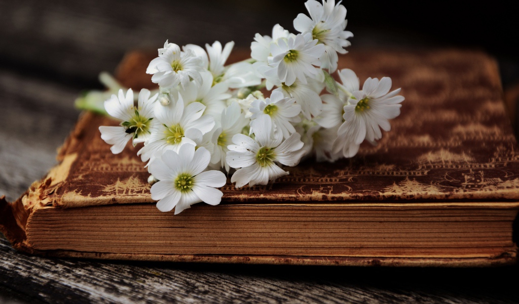 Букет белых нежных цветов на старой книге 