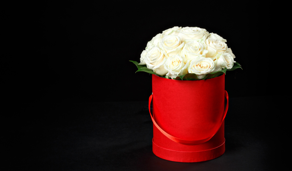 Букет белых роз в красном ведре на черном фоне