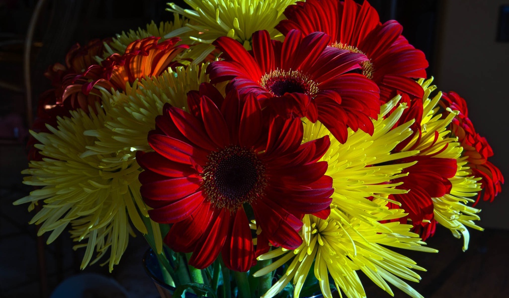 Букет желтых хризантем с красными герберами 