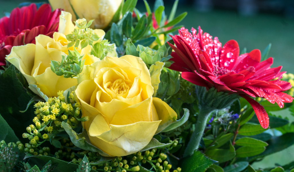 Букет желтых роз с красными цветами герберы 