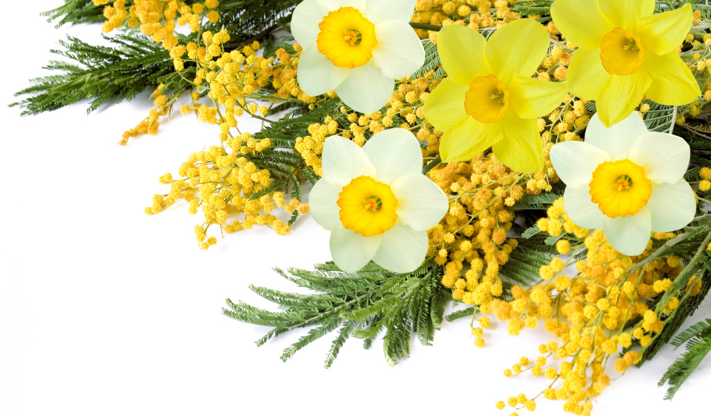 Букет с цветами мимозы и нарциссов на белом фоне 