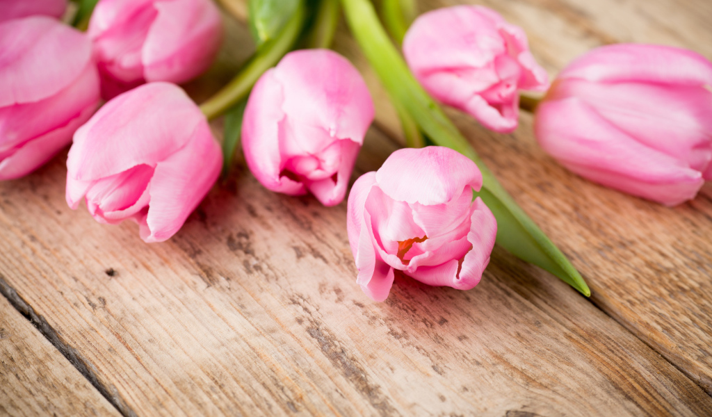 Нежные розовые тюльпаны на деревянном столе