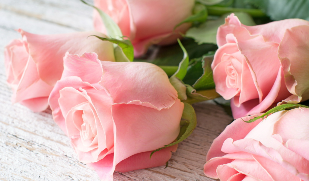 Пять красивых розовых роз лежат на деревянном столе