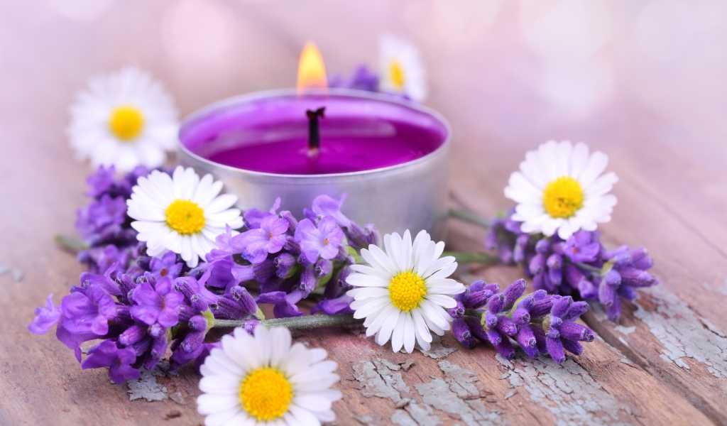 Зажженная свеча с цветами ромашки и лаванды