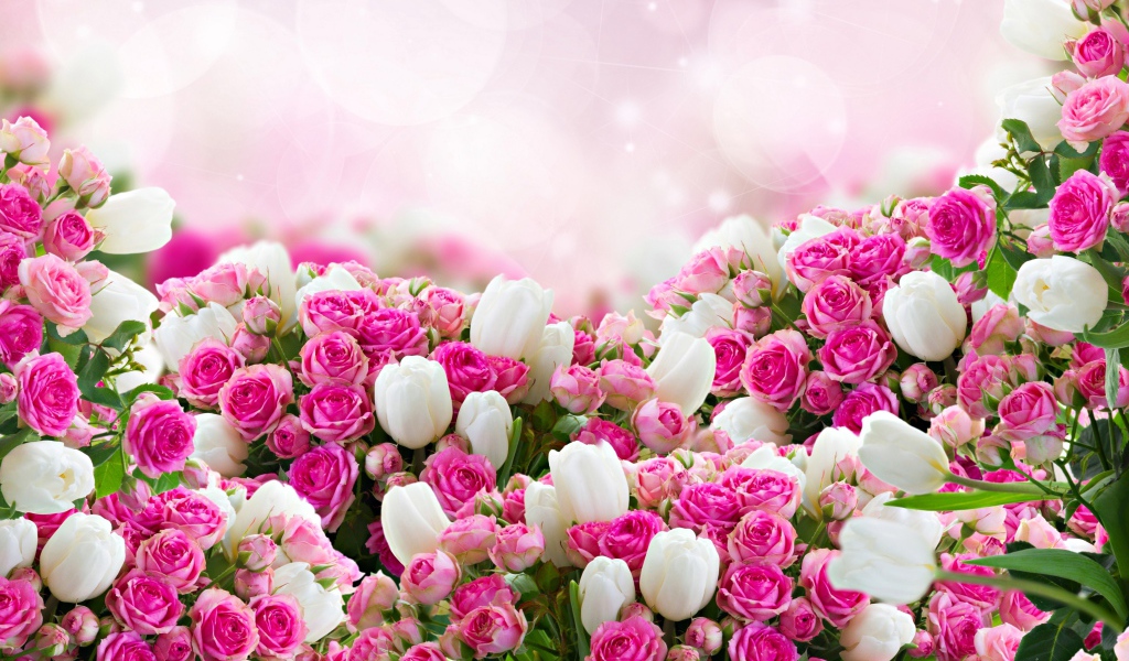 Розовые розы с белыми тюльпанами