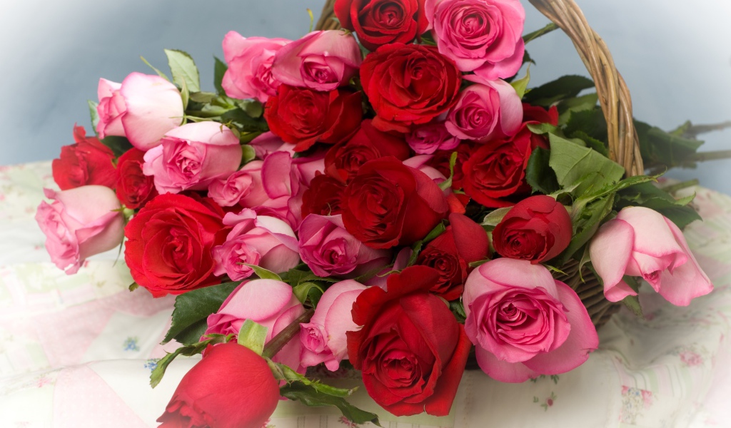 Красные и розовые розы в корзине